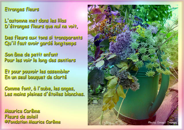 Etranges fleurs - Maurice Carême